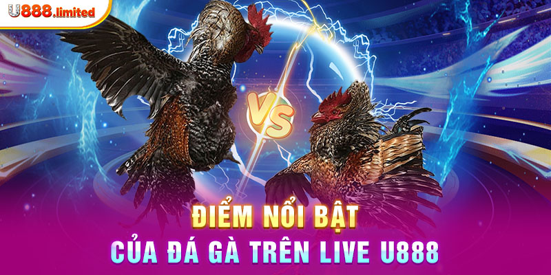 Điểm nổi bật của đá gà trên live U888