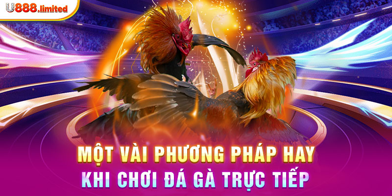 Một vài phương pháp hay khi chơi đá gà trực tiếp