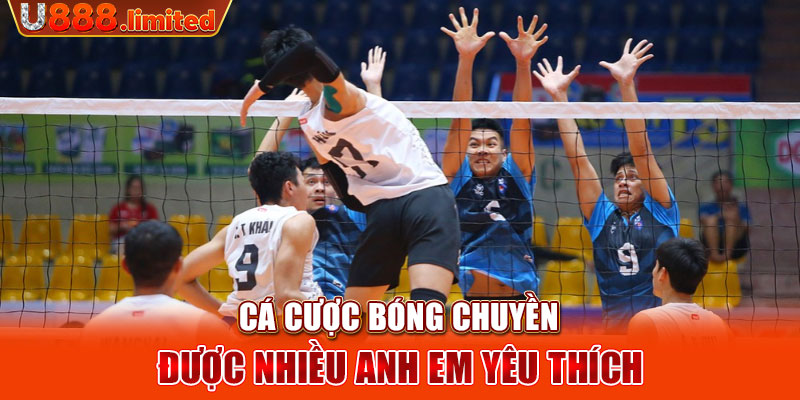 Cá cược bóng chuyền được nhiều anh em yêu thích