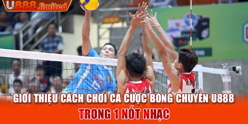 Giới thiệu cách chơi Cá cược bóng chuyền U888 trong 1 nốt nhạc