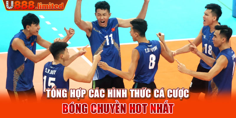 Tổng hợp các hình thức Cá cược bóng chuyền hot nhất