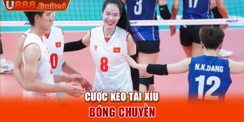 Cược kèo tài xỉu bóng chuyền