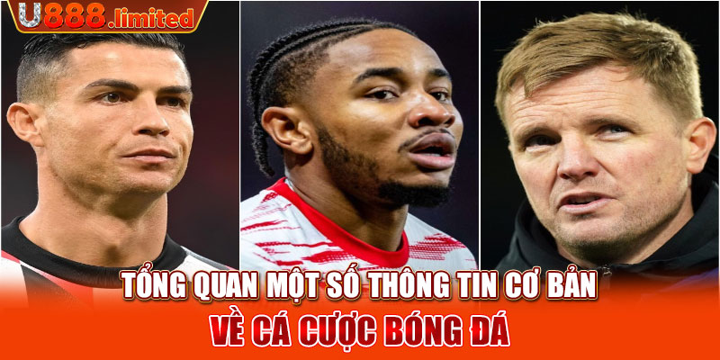 Tổng quan một số thông tin cơ bản về cá cược bóng đá