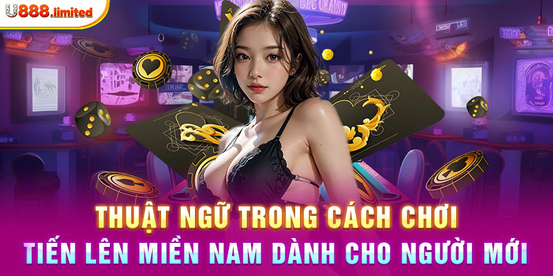 Thuật ngữ trong cách chơi Tiến Lên Miền Nam dành cho người mới