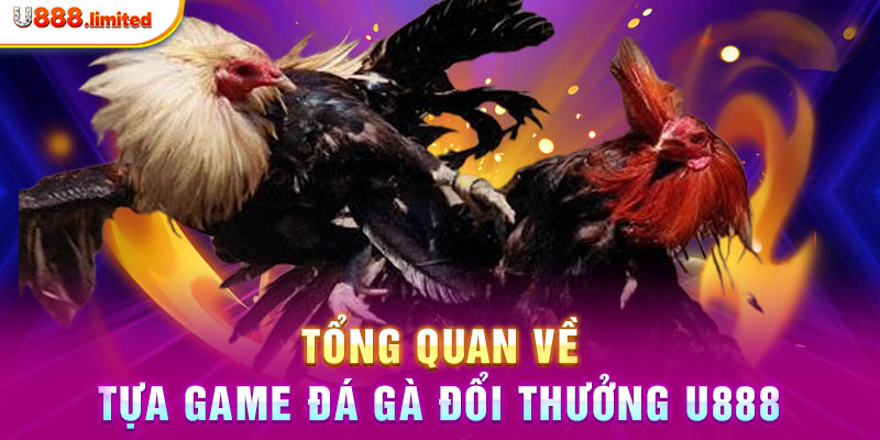 Tổng quan về tựa game đá gà đổi thưởng U888