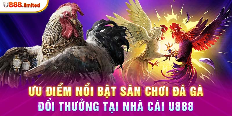 Ưu điểm nổi bật sân chơi đá gà đổi thưởng tại nhà cái U888