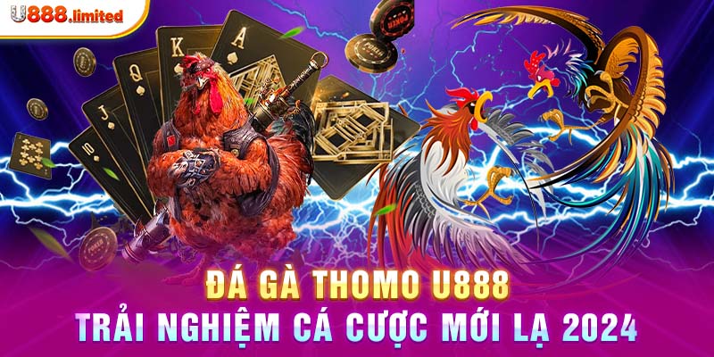 Đá gà thomo U888 - Trải nghiệm cá cược mới lạ 2024